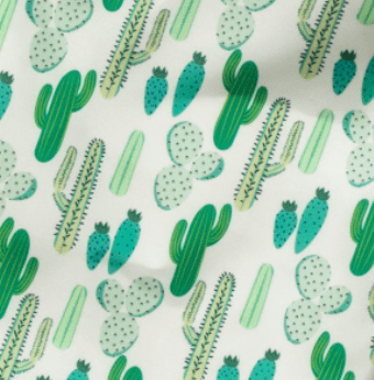Best Bottom All-In-Two Diaper BIGGER / Prickly Cactus