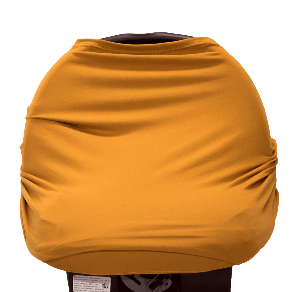 CLEARANCE: Bumblito Bee Covered Honey
