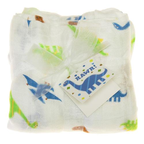 CLEARANCE: Imagine Baby Swaddle Blanket Rawr